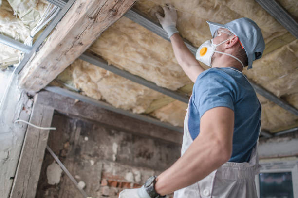 Best Insulation for Specific Applications in Cuba City, WI